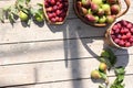 Pear and plum in the autumn sunny garden in baskets on a wooden background, top view, copy space, flat lay. Harvesting at the Royalty Free Stock Photo