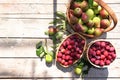 Pear and plum in the autumn sunny garden in baskets on a wooden background, top view, copy space, flat lay. Harvesting at the Royalty Free Stock Photo