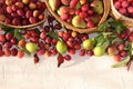 Pear and plum in the autumn sunny garden in baskets on a wooden background, top view, copy space, flat lay. Harvesting at the Royalty Free Stock Photo