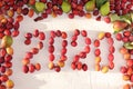 Pear and plum in the autumn sunny garden in baskets on a wooden background, top view, copy space, flat lay. Harvesting at the Royalty Free Stock Photo