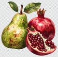 Pear and Pomegranate Illustration, Fresh Fruits Concept, Render Royalty Free Stock Photo