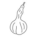 Pear shaped pumpkin in doodle style.