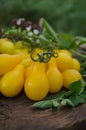 Pear shaped yellow tomato on a wood Royalty Free Stock Photo