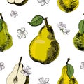 Pear sketch seamless pattern.Vintage ink hand drawn vector of different pears and flowers of pear on white background Royalty Free Stock Photo