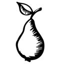 Pear, summer fruit. Made in the style of engraving. handmade.