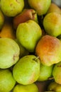 Pear texture: lots of pears collected in a bowl. Pear storage