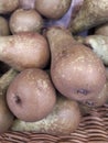 Pear texture: many pears collected in bunkers during harvest at the production stage