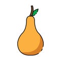 pear thanksgiving icon vector