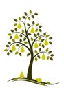 Pear tree Royalty Free Stock Photo