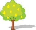 Pear tree isolated on white - flat design illustration vector Royalty Free Stock Photo