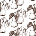 Vector Seamless Pattern With Hand Drawn Pear Tree. Hand Drawn Illustration. Engraved Fruit Background. Vintage Design.