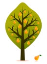 Pear tree vector