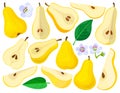 Pear vector cartoon set icon. Vector illustration fruit on white background. Isolated cartoon set icon pear. Royalty Free Stock Photo