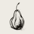 pear vector drawing. Isolated hand drawn, engraved style illustration Royalty Free Stock Photo