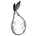 Pear vector icon. Isolated illustration on a white background. Hand-drawn doodle. Black outline of an exotic fruit. Food sketch. Royalty Free Stock Photo