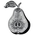 Pear vector illustration. Vector hand drawn abstract pear symbol isolated on white. Fresh tropical food black and white illustrati Royalty Free Stock Photo