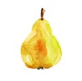 Pear, watercolor illustration on white background