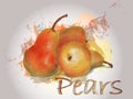 Pear watercolor vector food illustration