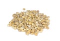 Pearl barley Royalty Free Stock Photo