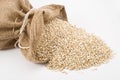 Pearl barley Royalty Free Stock Photo