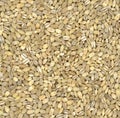 Pearl Barley background Royalty Free Stock Photo