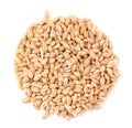 Pearl barley grains, isolated on white background. Barley seed close up. Top view. Royalty Free Stock Photo