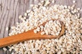 Pearl barley grains Royalty Free Stock Photo