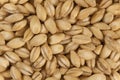 Pearl Barley