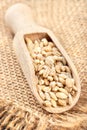 Pearl barley in scoop Royalty Free Stock Photo