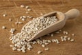 Pearl Barley in a Scoop on a Wooden Board Royalty Free Stock Photo