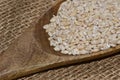 Pearl barley with wooden spoon close up surface top view background Royalty Free Stock Photo