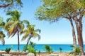 Pearl beach , Guadeloupe, French West Indies Royalty Free Stock Photo