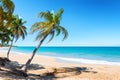 pearl beach , Guadeloupe, French West Indies Royalty Free Stock Photo