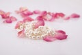 Pearl beads and red roses petals Royalty Free Stock Photo