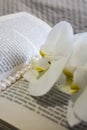 Pearl beads, white orchid flowers, book