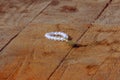 Pearl prayed on a wooden background. Royalty Free Stock Photo