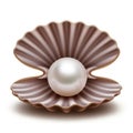 The pearl is centered inside, appearing lustrous and polished Royalty Free Stock Photo