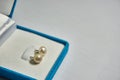 Pearl earring in the blue velvet jewelry box. Royalty Free Stock Photo