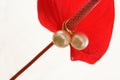 Pearl Earrings on Anthurium Royalty Free Stock Photo