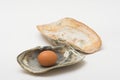 Pearl egg Royalty Free Stock Photo