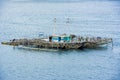 Pearl farm, floating on Pacific Ocean, Indonesia