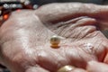 Pearl farming tour examining a cultured pearl straight out of the oyster shell Royalty Free Stock Photo