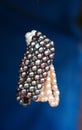 Pearl fashion accessories