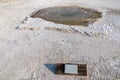 Pearl Geyser in the Norris Geyser Basin area of Yellowstone National Park in the morning