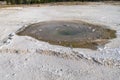 Pearl Geyser in the Norris Geyser Basin area of Yellowstone National Park in the morning