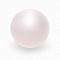 Pearl icon on transparent background.