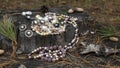 Pearl multicolored necklaces and earrings are beautifully laid out on a dark cracked stump.