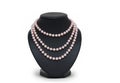 Pearl necklace on black mannequin isolated Royalty Free Stock Photo