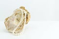 Pearl necklace, upon a fossil oyster shell Royalty Free Stock Photo