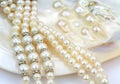 Pearl necklace with natural pearls in a oyster shell Royalty Free Stock Photo